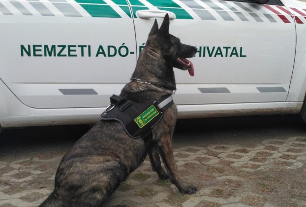 Nemzeti Adó- és Vámhivatal