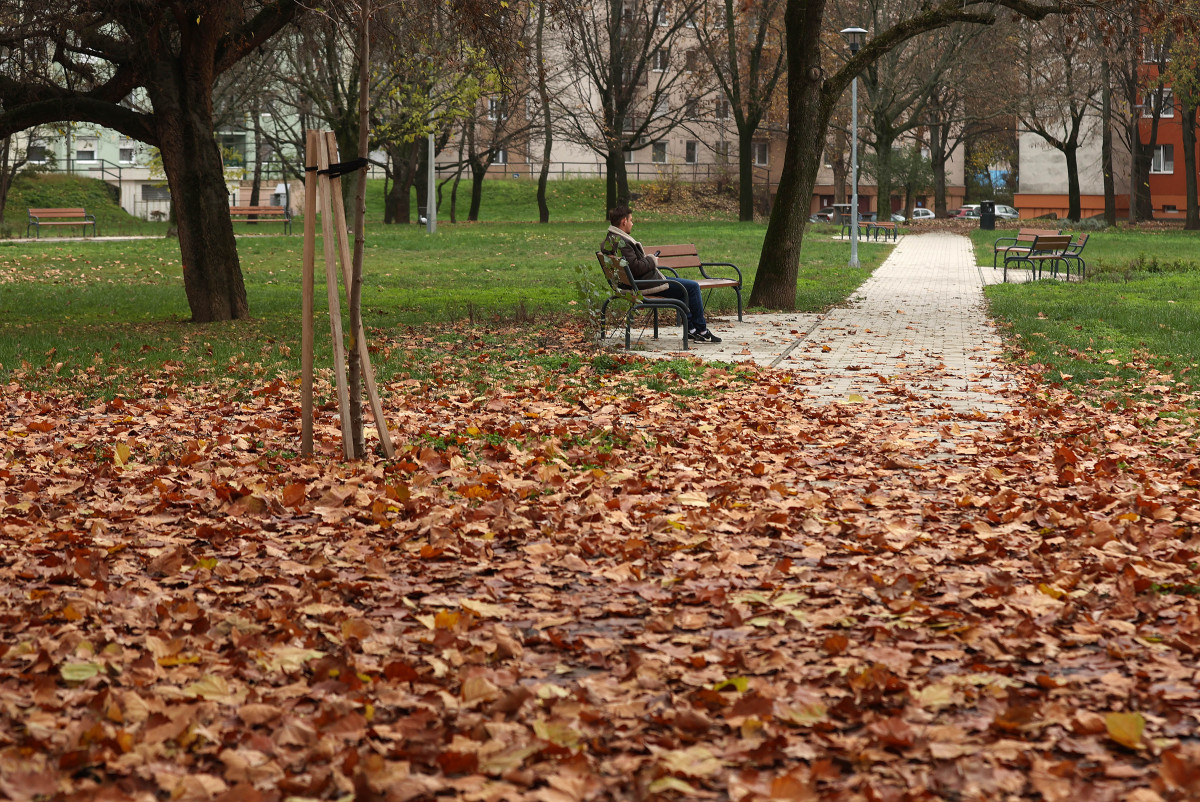 Debrecen, park, időjárás, ősz, falevelek