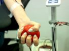 Szeged, vér, véradás, TIK, SZTE, egyetem, donor