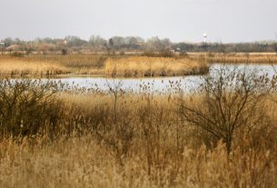 Pusztaszeri Tájvédelmi Körzet, Fehér-tó, természet, túra, kirándulás