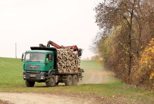 Szegvár, teherautó, Tisza, ártér, fa, tűzifa, faszállítás, fakivágás, erdő