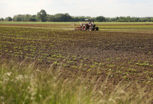 Deszk, mezőgazdaság, traktor, földművelés, föld, termőföld