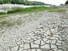 Szeged, 40 fok, nyár, meleg, hőség, kánikula, Tisza part, szárazság, aszály, időjárás